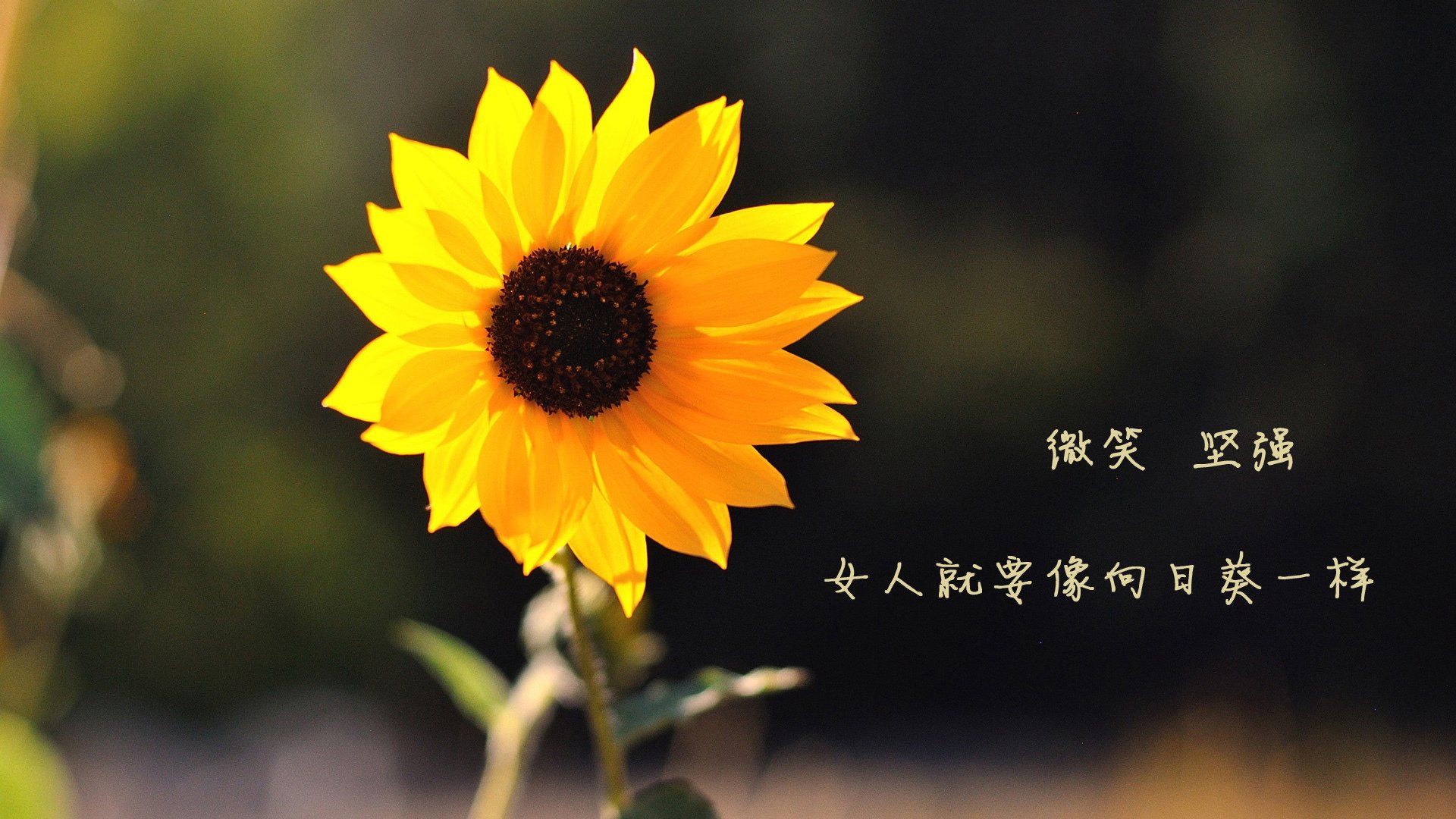 随机尤文图斯惊险晋级，下一轮对决有望，尤文图斯比赛视频