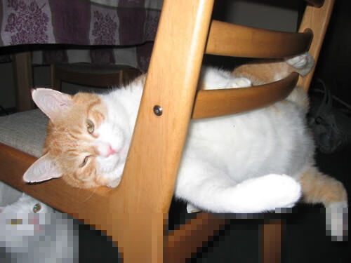 重要比赛中球队实力对阵，球队实力分析