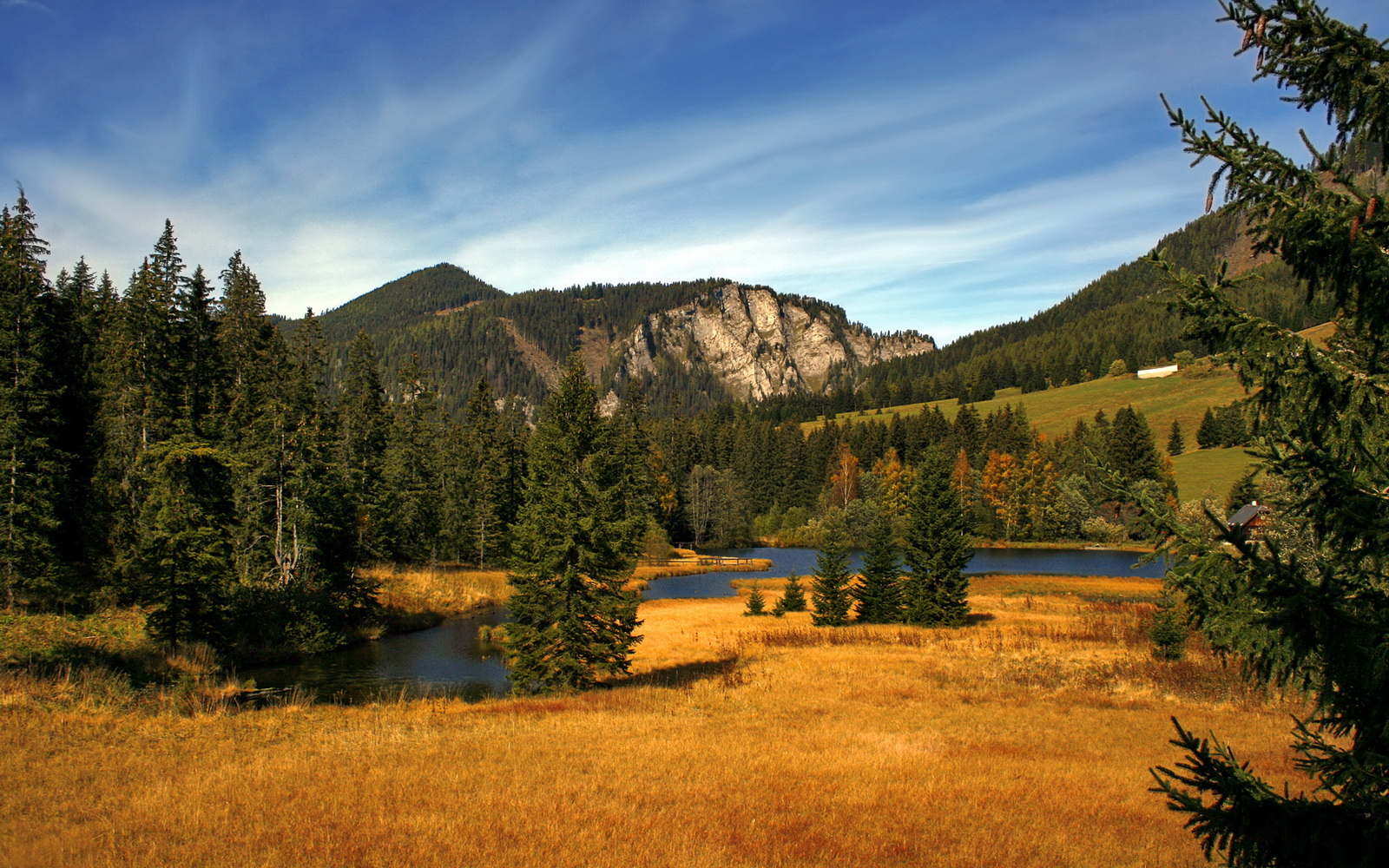 NBA赛季抢断王数据统计，nba抢断王有奖杯吗