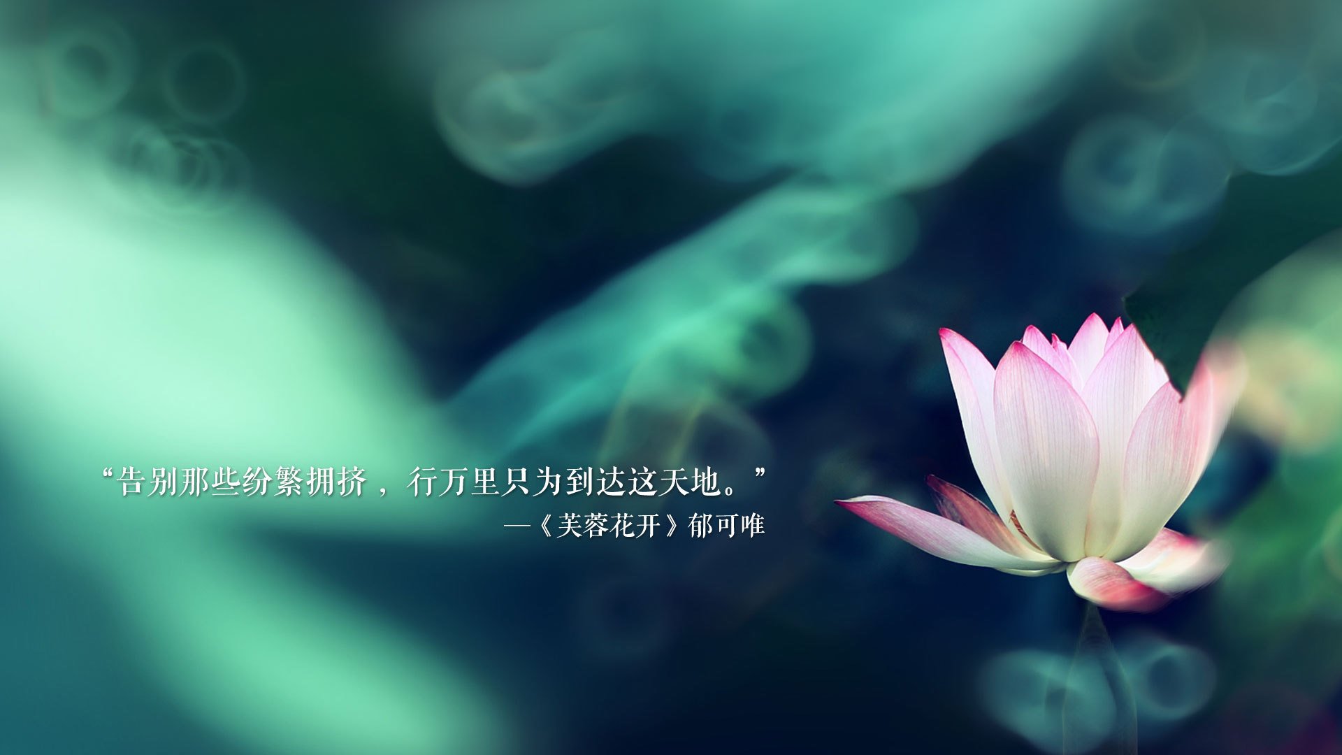 九游下载中心-中国篮球纪录片热播引发全民关注，篮球赛纪录片