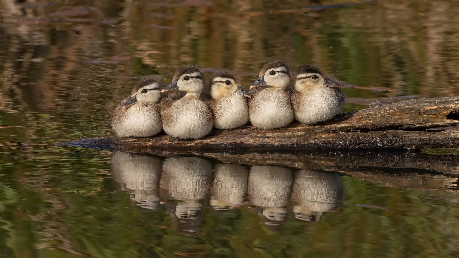 九游电脑版-激烈大战 奥预赛上国家队成功迎战，奥林匹克大战