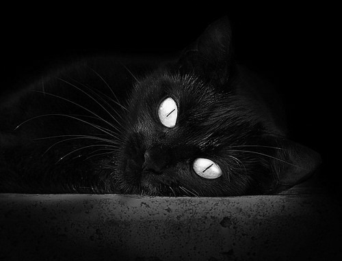 吉尔吉斯斯坦仰泳选手状态回暖，k歌删了对方能看到吗