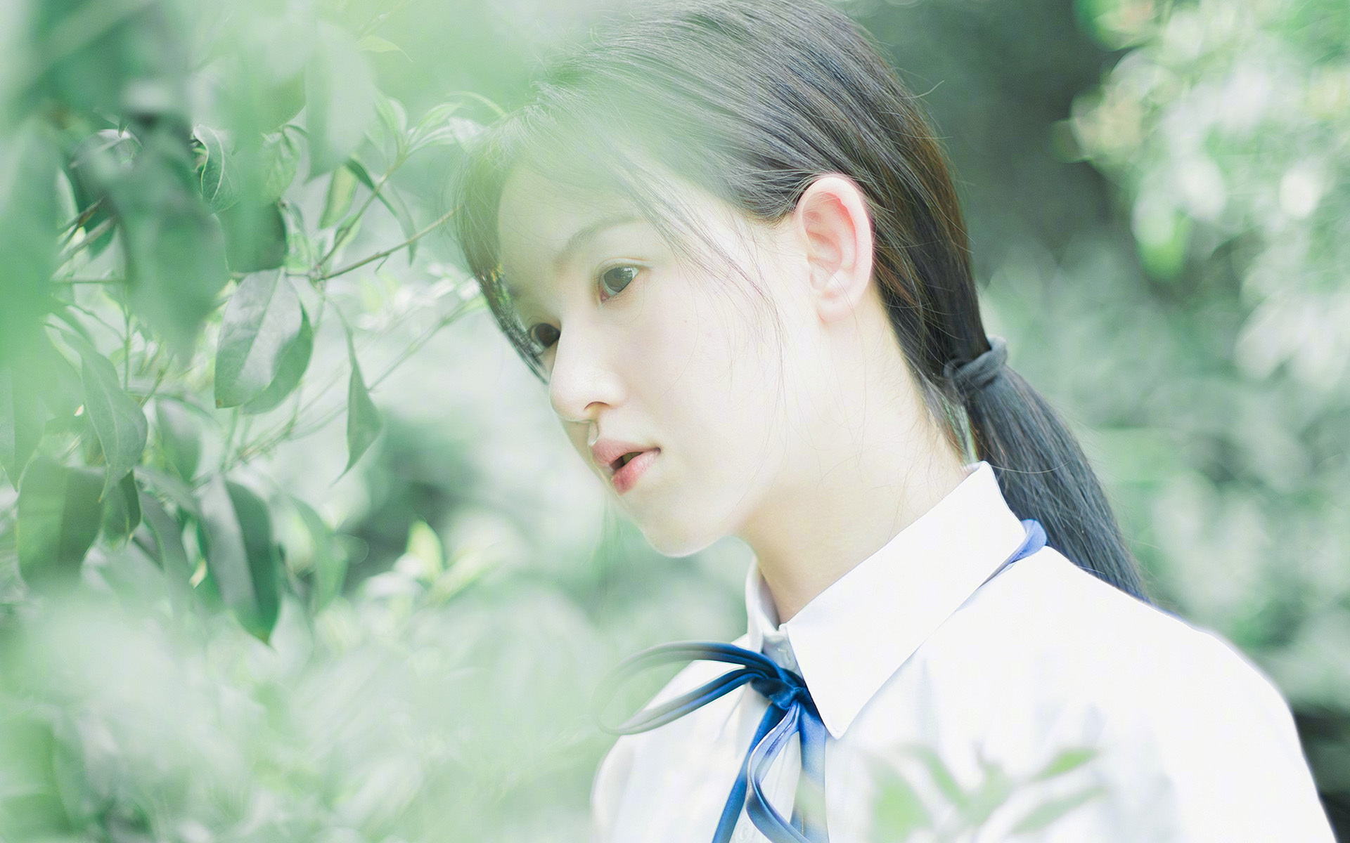 JiuyouAPP下载-德甲攻守对抗：速度与力量的极限较量，德甲最强