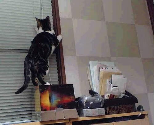 九游网游官网-足协要求各级队伍建立完整训练记录体系可追溯，足球队依据时间的长短,训练计划的种类有哪些