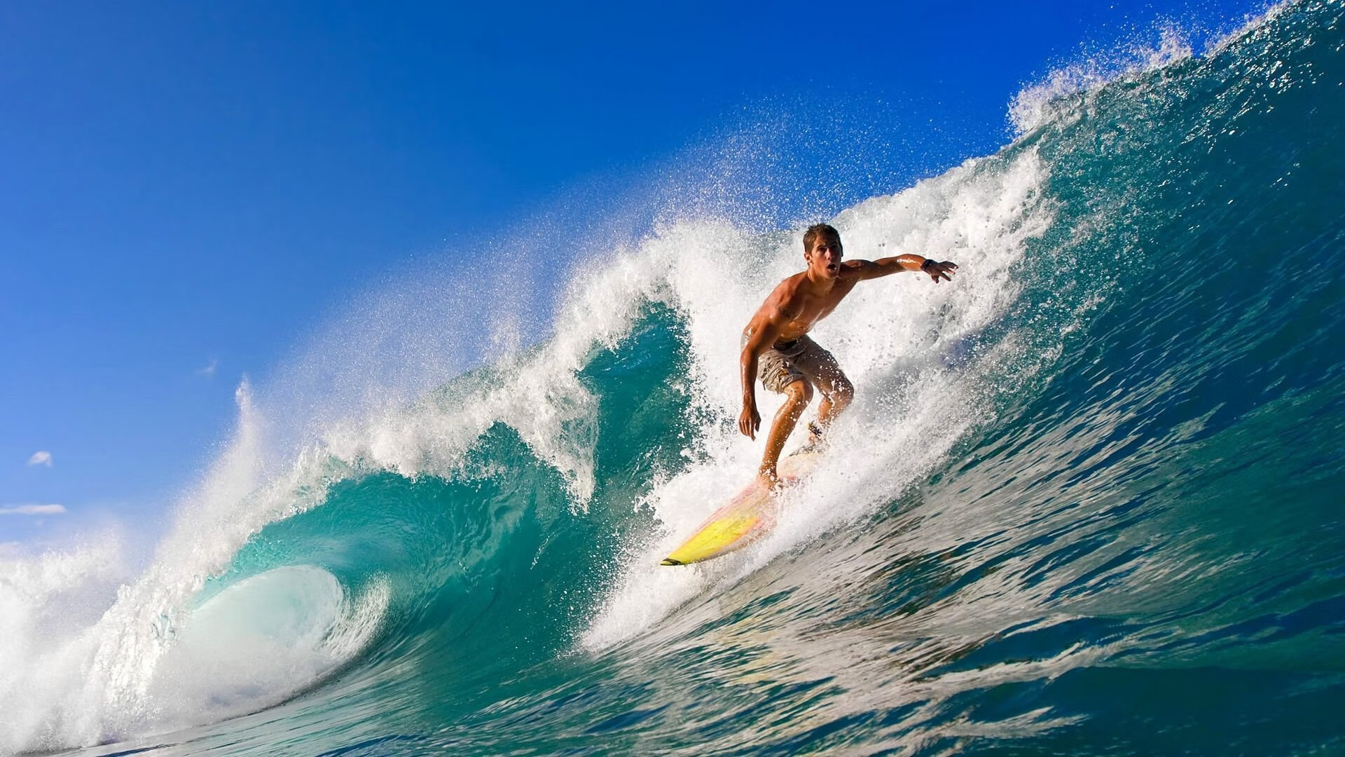 九游sports-室外篝火运动会，趣味运动与文化互动结合，户外篝火晚会主持词开场白